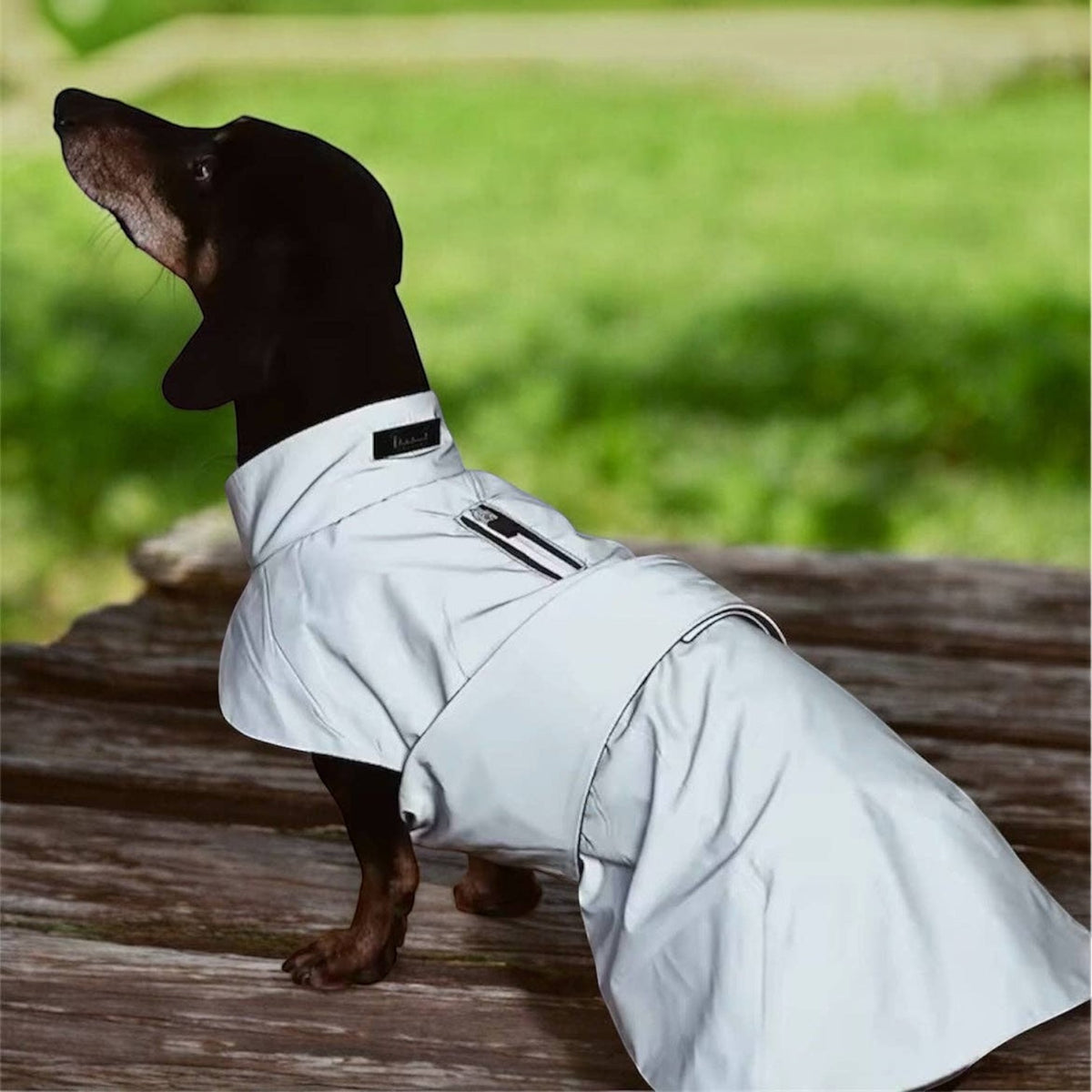 Neon Noodle - Reflective, Waterproof and Warm Dachshund raincoat