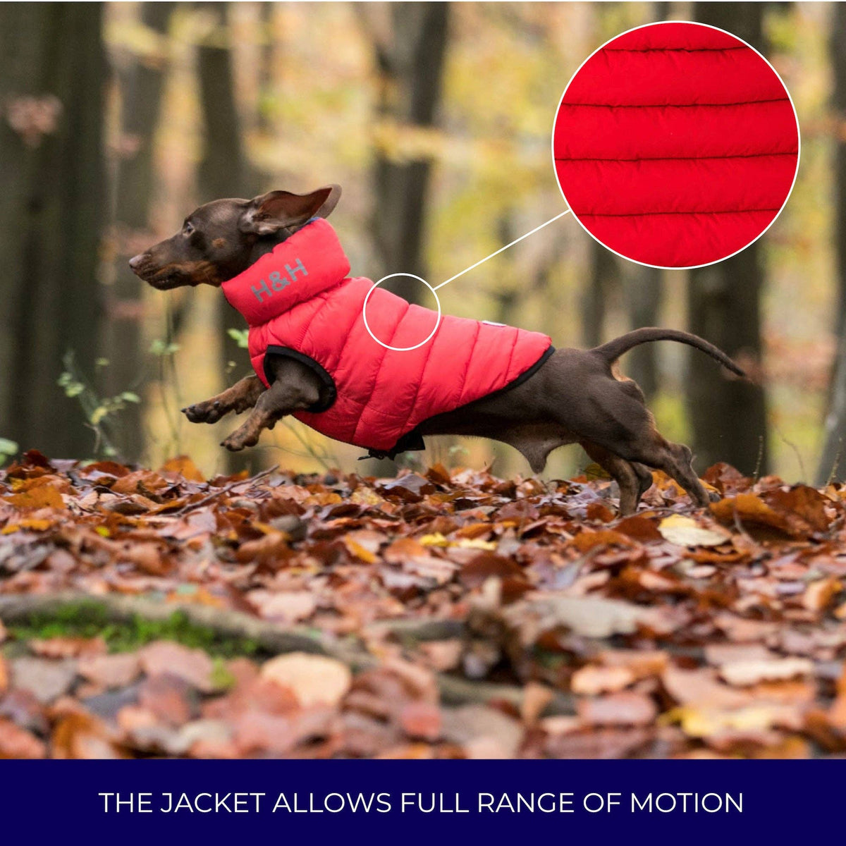 Reversible Dog Puffer Jacket - Red and Navy