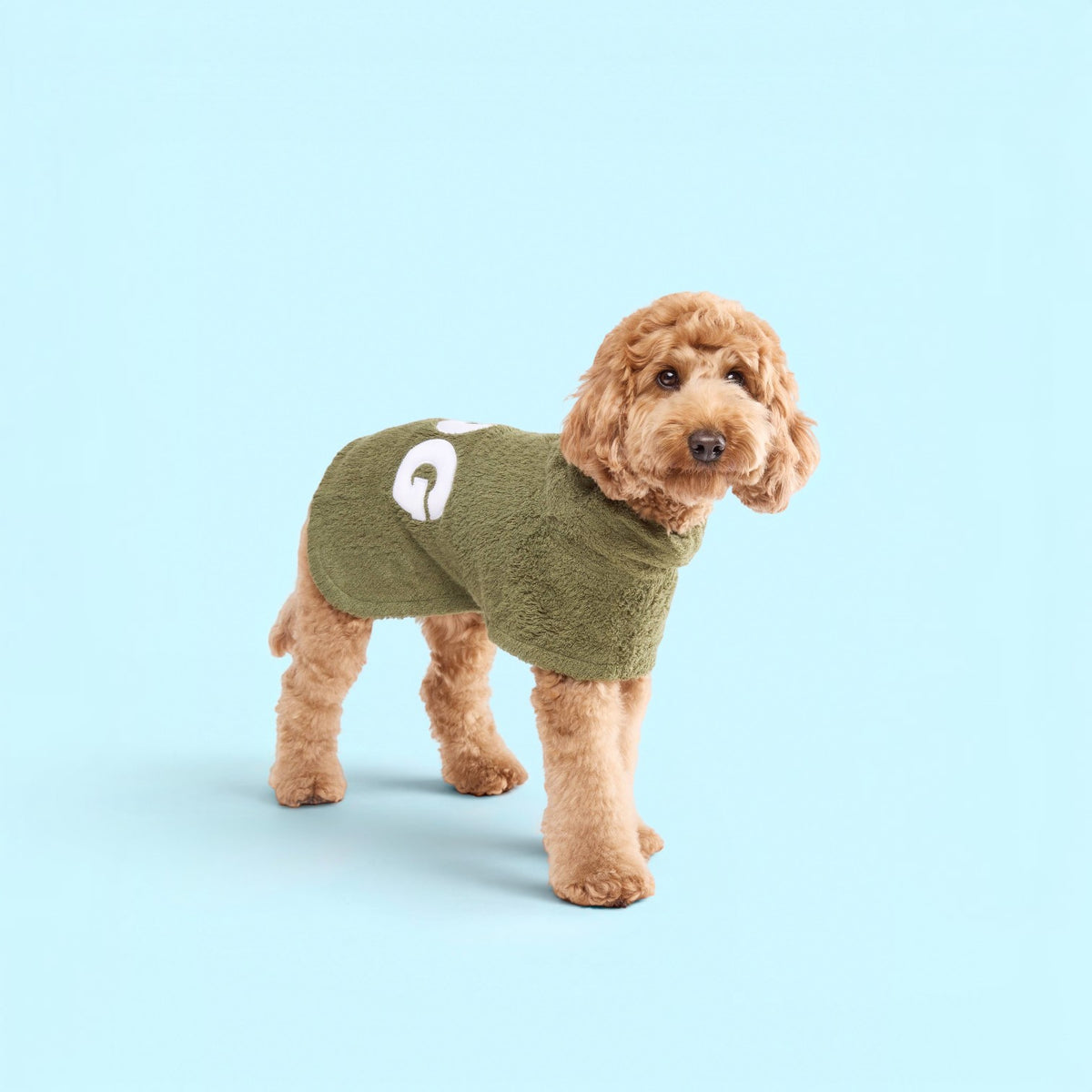 DOG Poncho