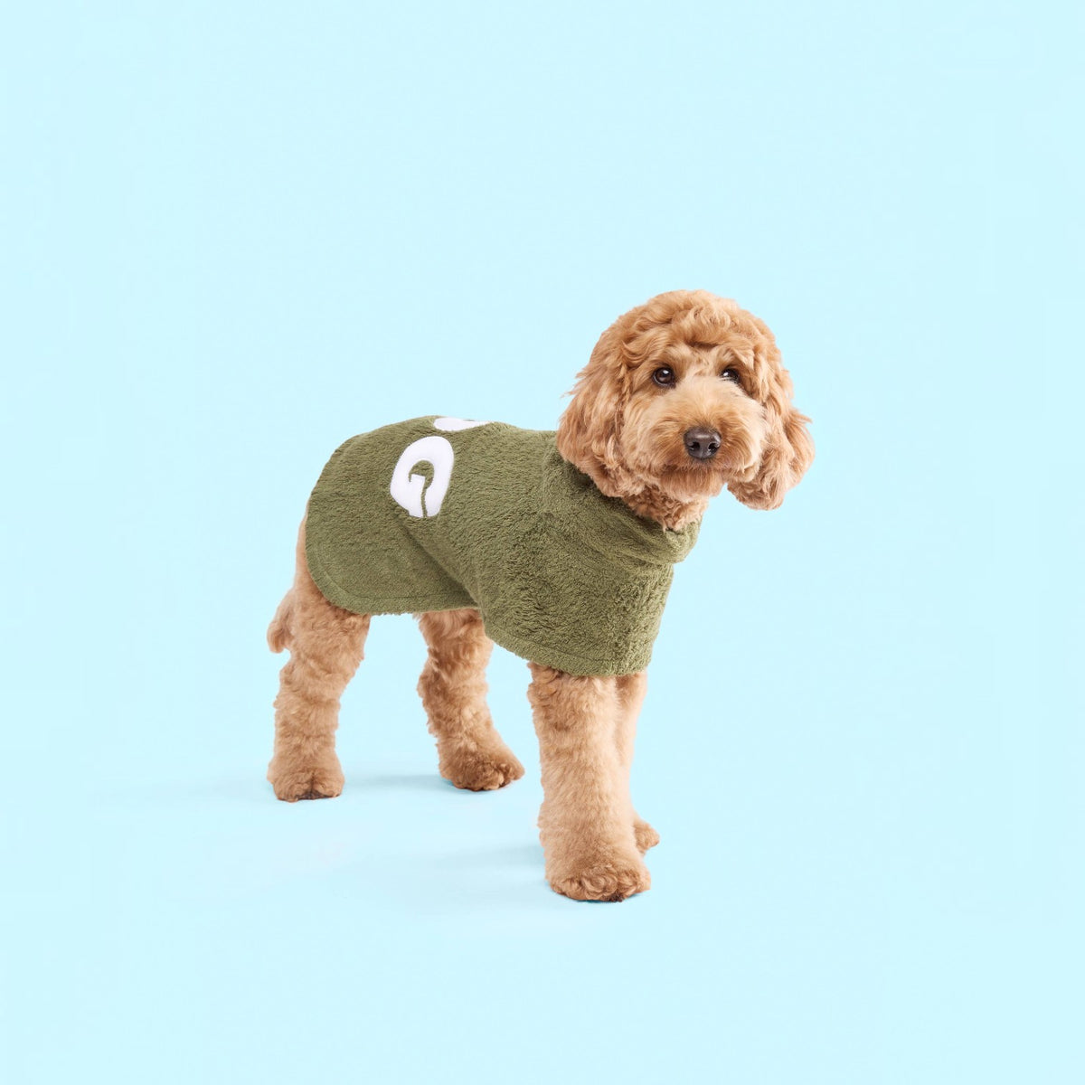 DOG Poncho