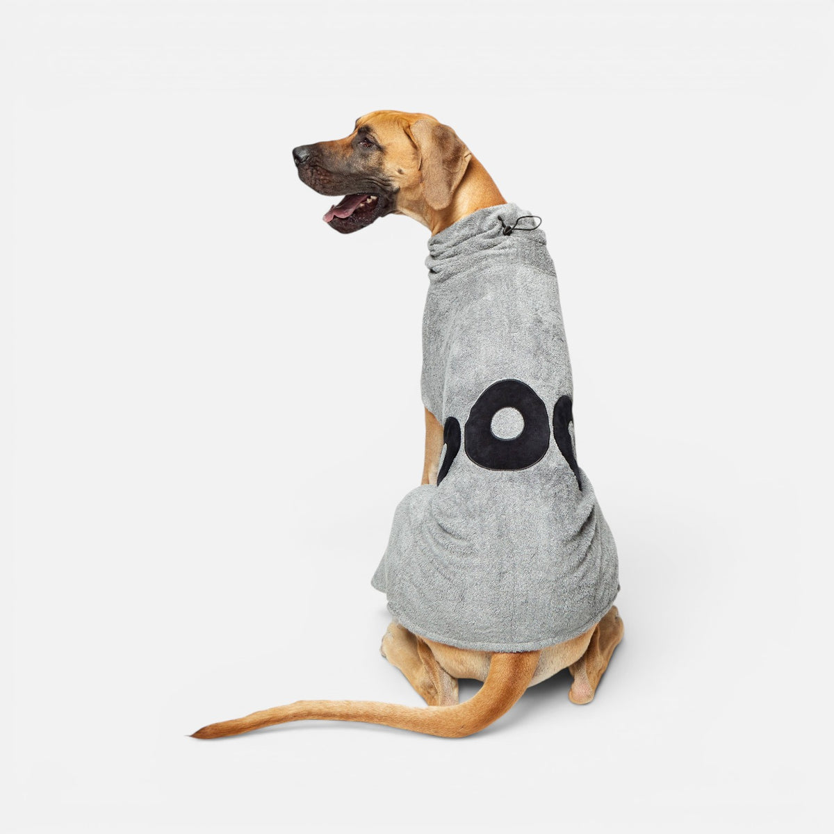 DOG Poncho