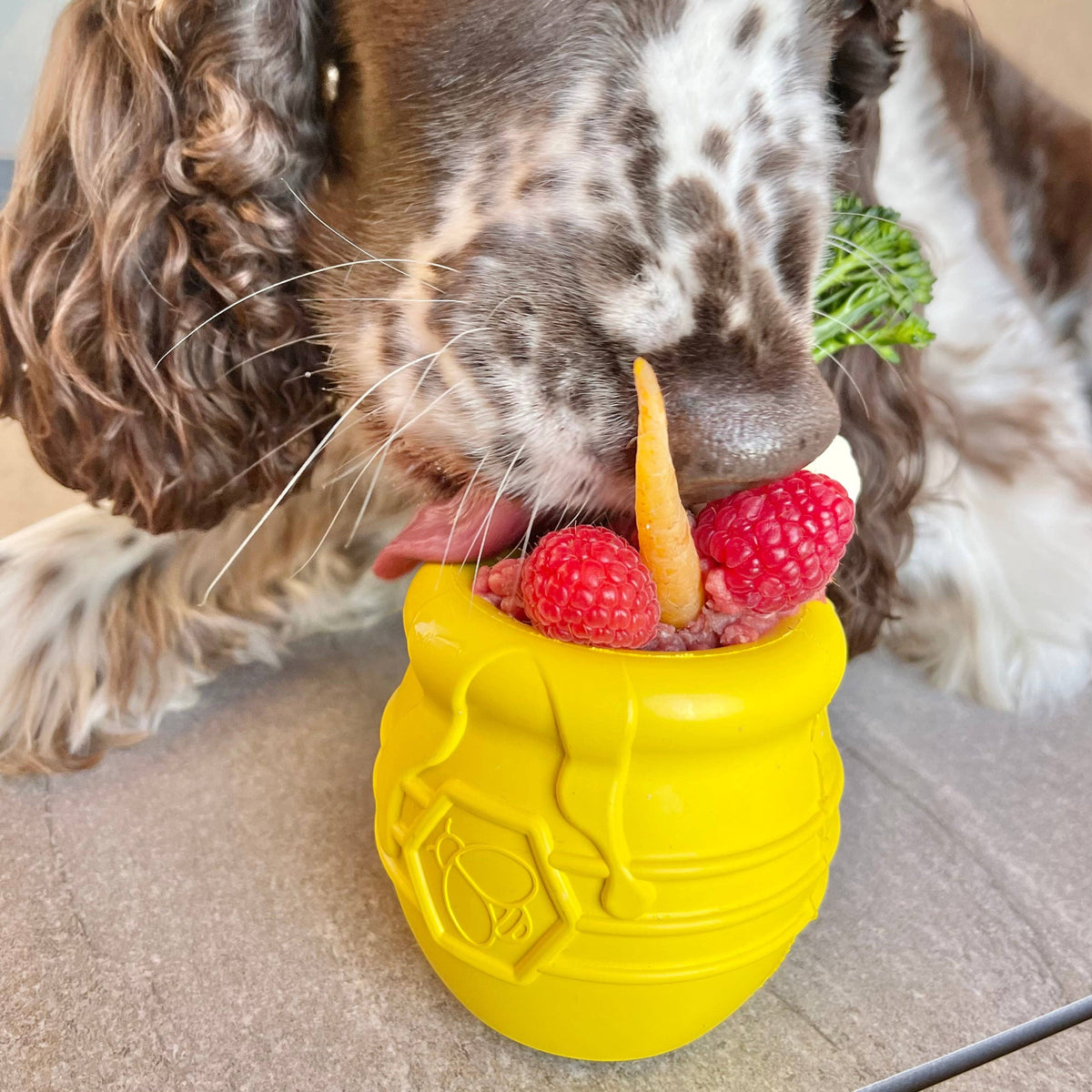 Honey Pot - Chew and Enrichment Toy