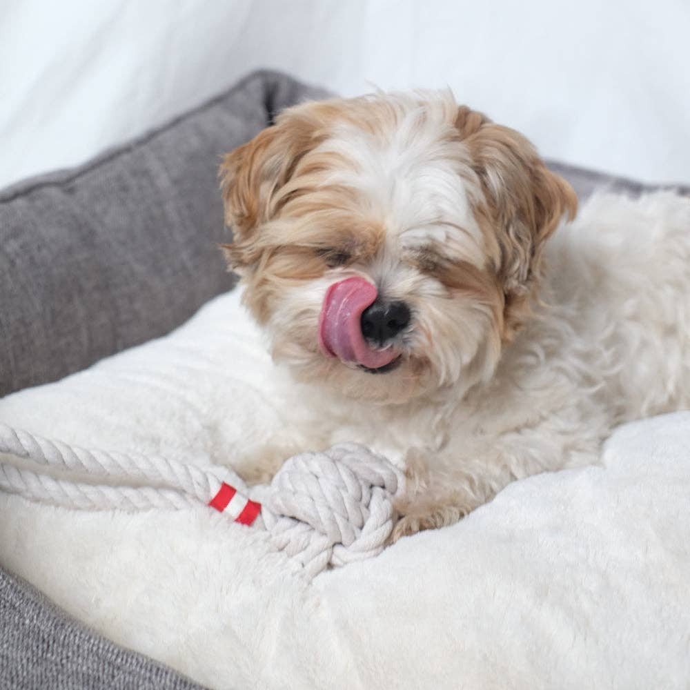 Louie Living Tug Rope - Small