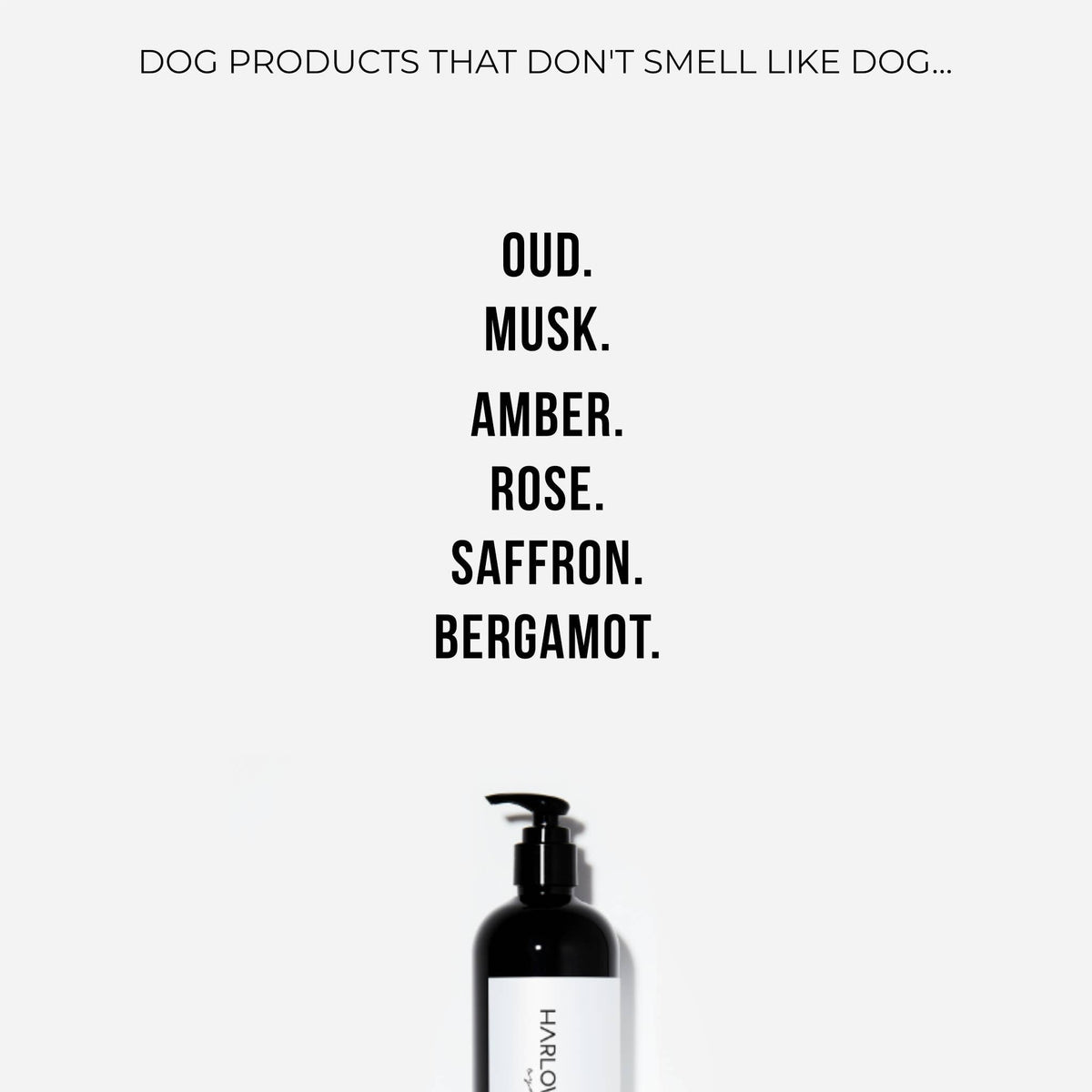 2-in-1 Conditioning Dog Shampoo | Solera 145