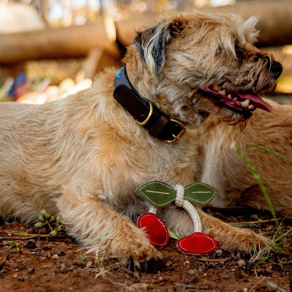 Cherry Dog Toy - red