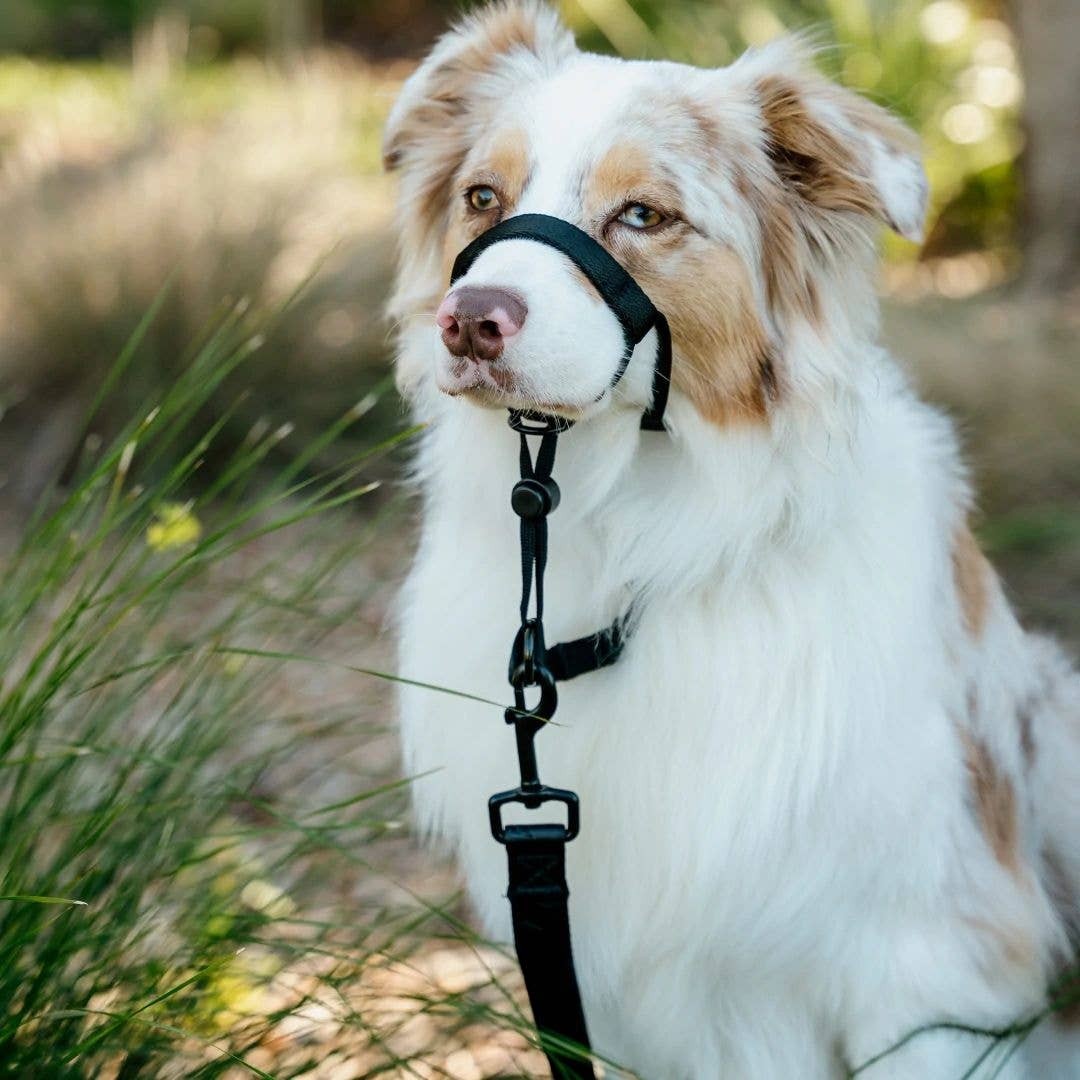 Blackout Halter  + Safety Clip