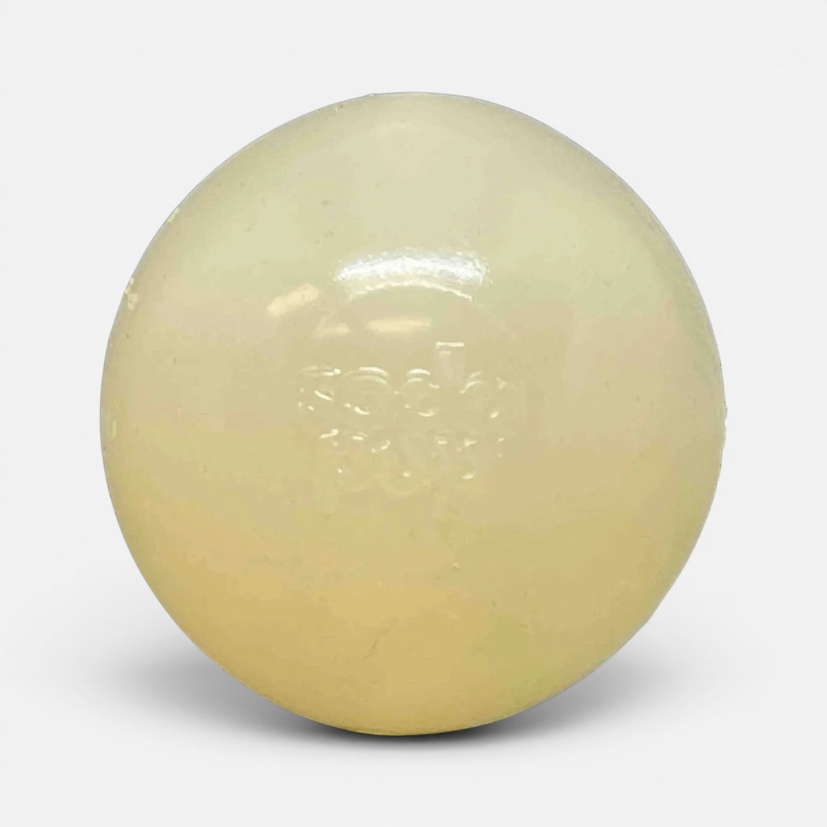 Glow in the Dark Squeak Ball (Chew & Retrieval Toy)