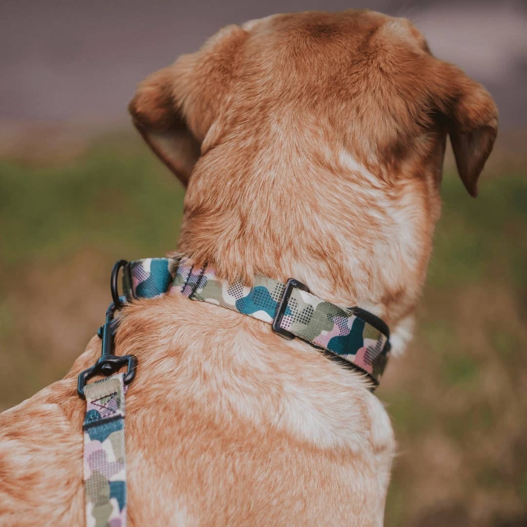 On Duty Martingale Training Collar