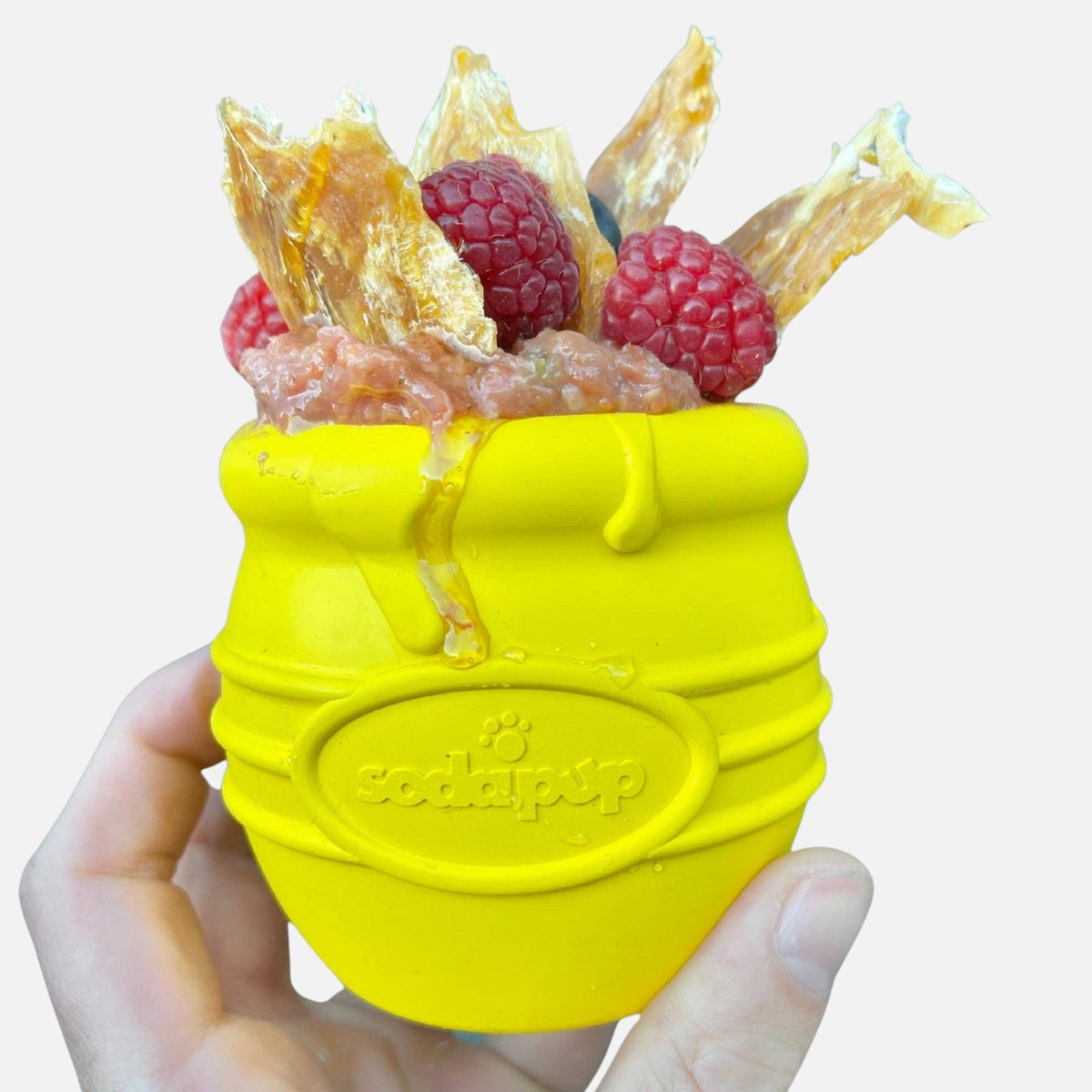 Honey Pot - Chew and Enrichment Toy