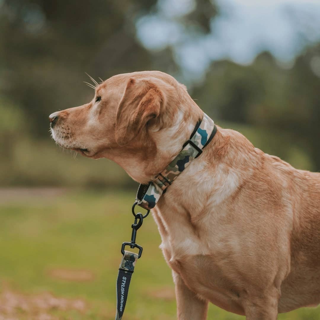 On Duty Martingale Training Collar