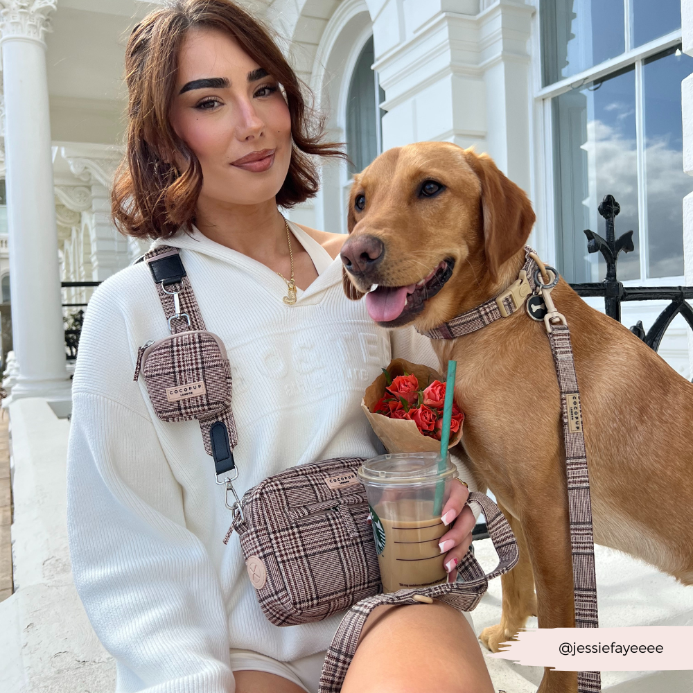 Dog Walking Bag - Pup Plaid