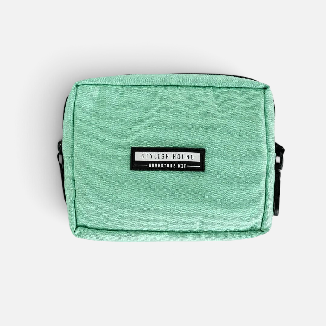 The Dog Emporium mint green canvas dog walking pouch with black zipper and leash attachment clip