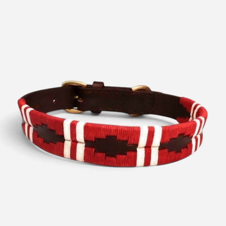 Polo Collar - Kaliman