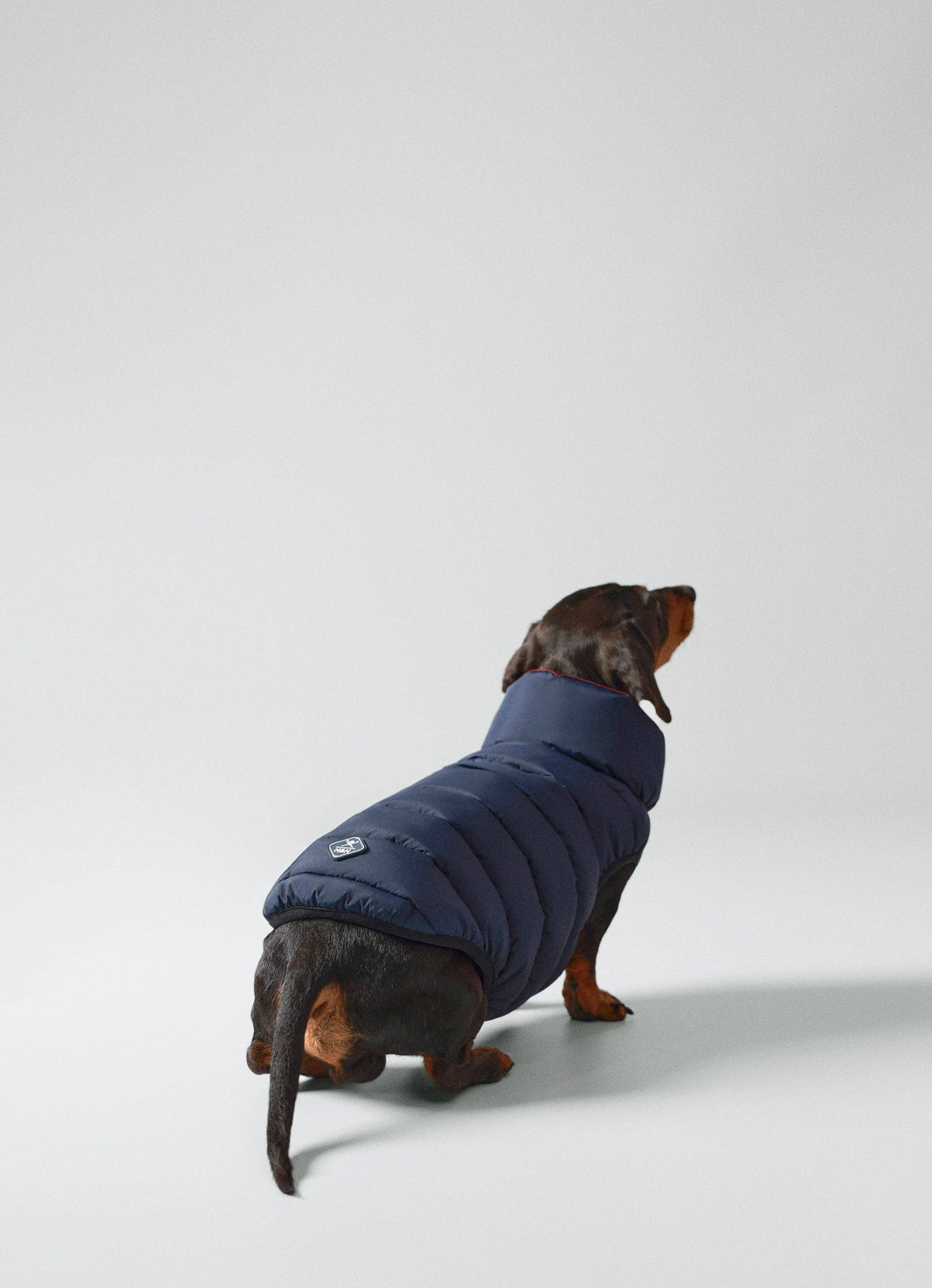 Hackett x Hugo Hudson Dog Puffer Jacket - Navy & Berry