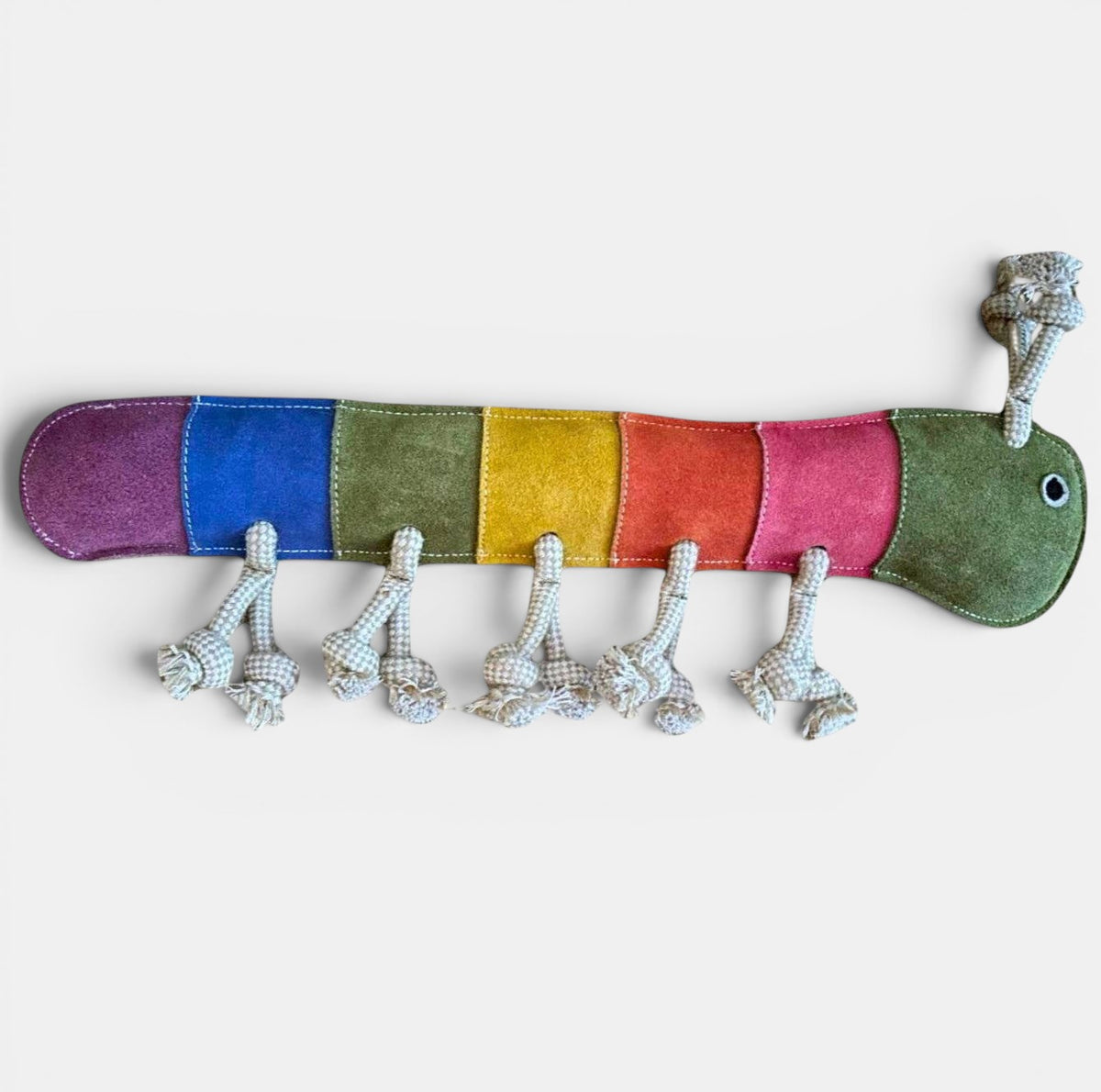 Giant Rainbow Gerti for Giant Dogs