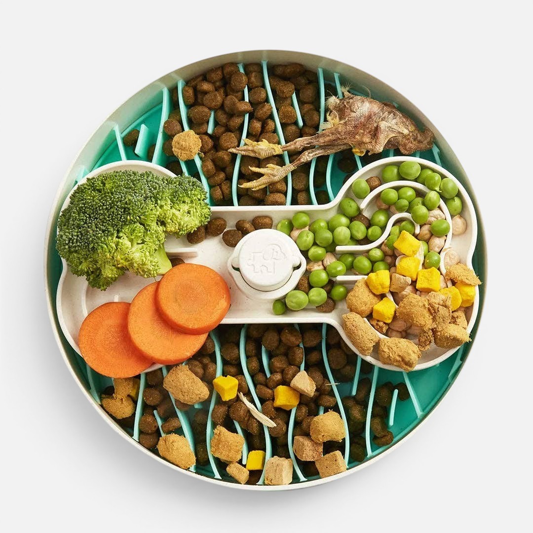 Green Puzzle Feeder Bowl