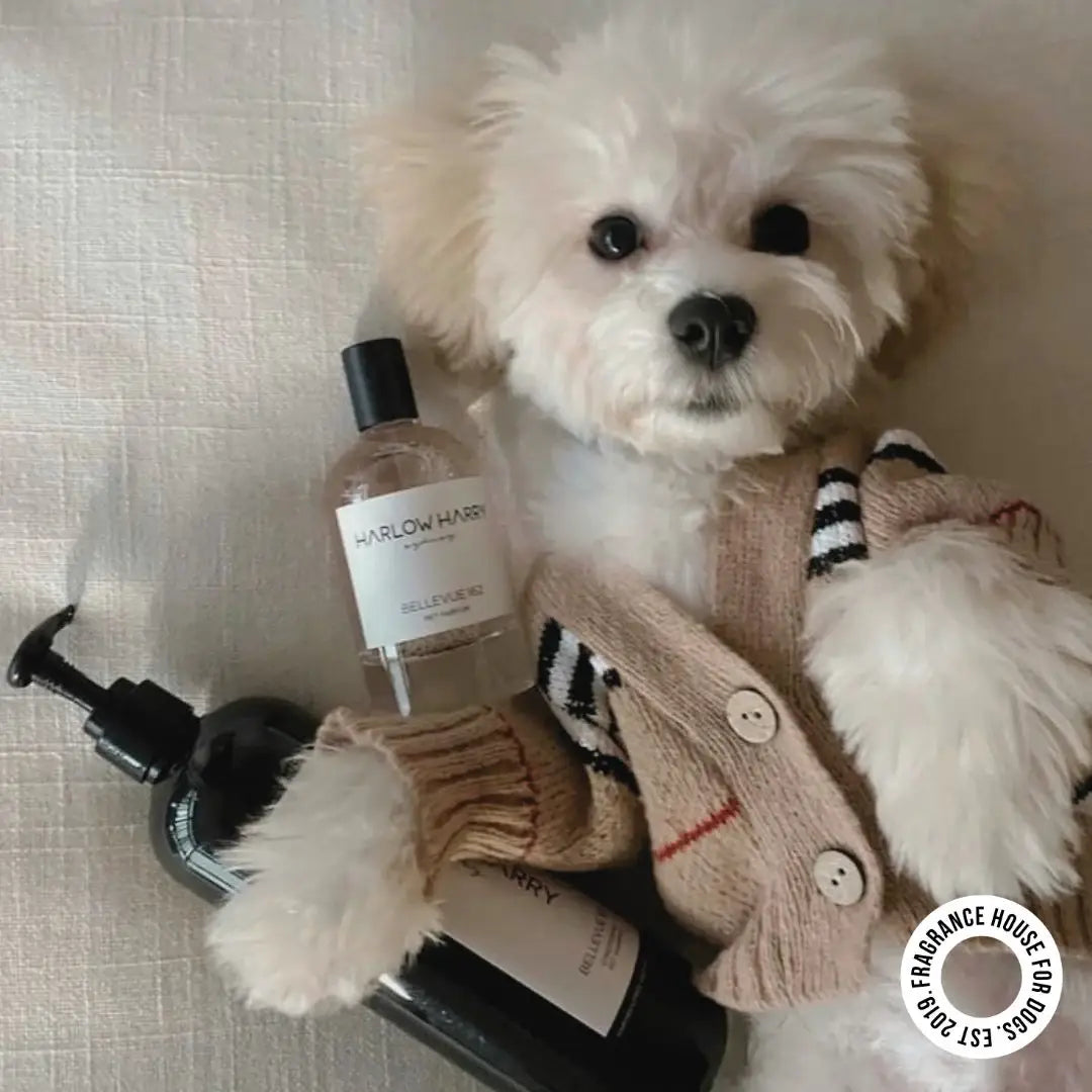 2-in-1 Conditioning Dog Shampoo | Bellevue 162