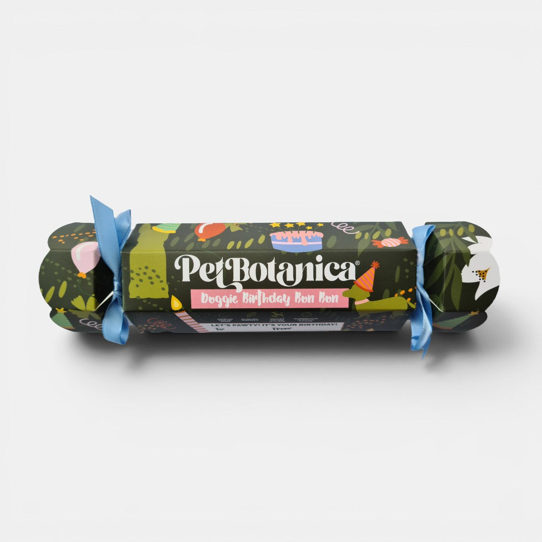 Dog Birthday Bon Bon | Birthday gift for dogs