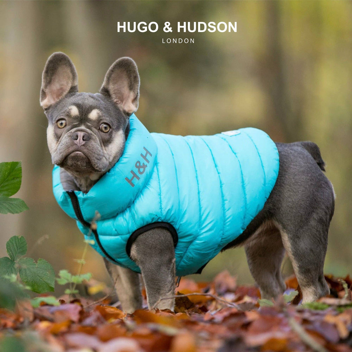 Reversible Dog Puffer Jacket - Light Blue and Grey