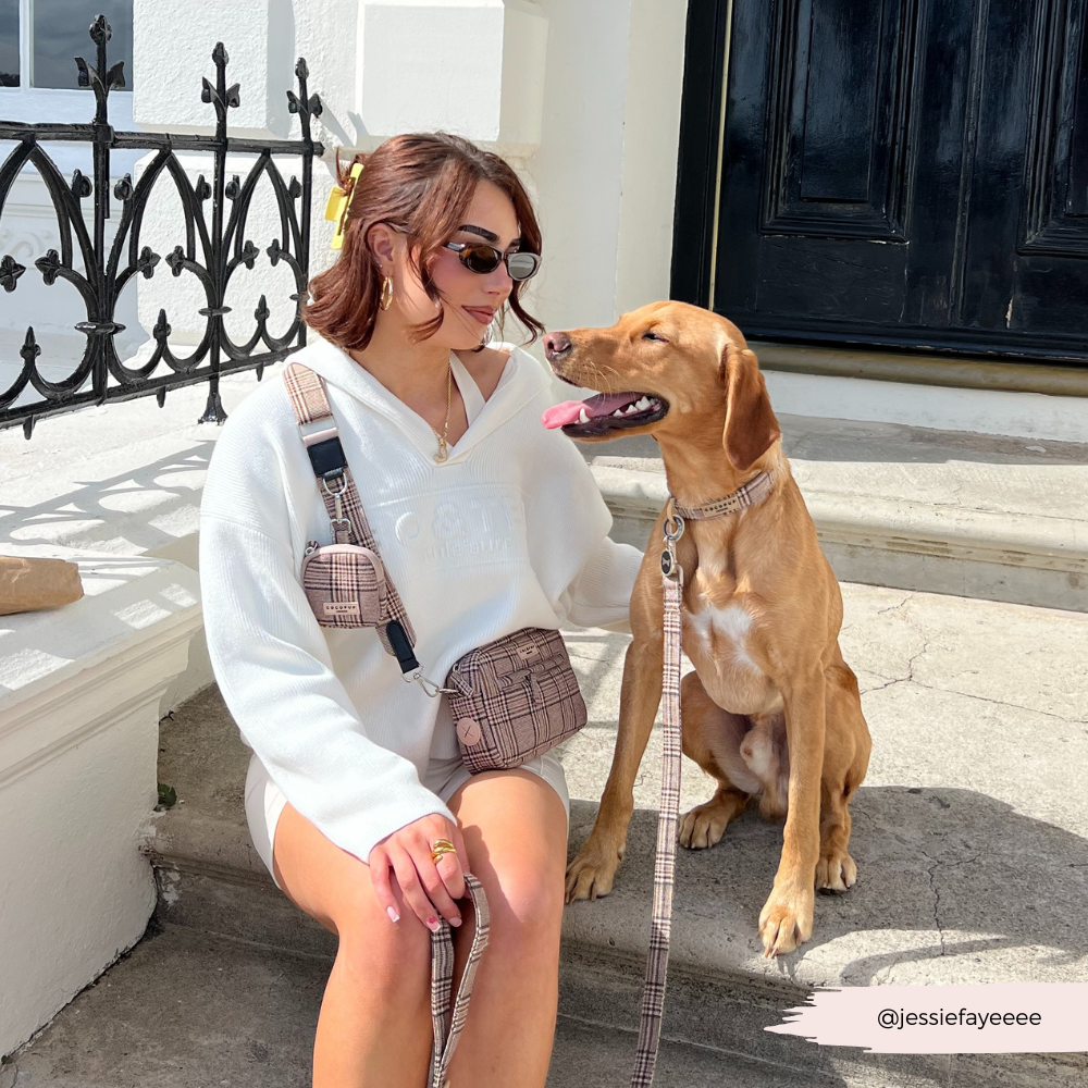 Dog Walking Bag - Pup Plaid