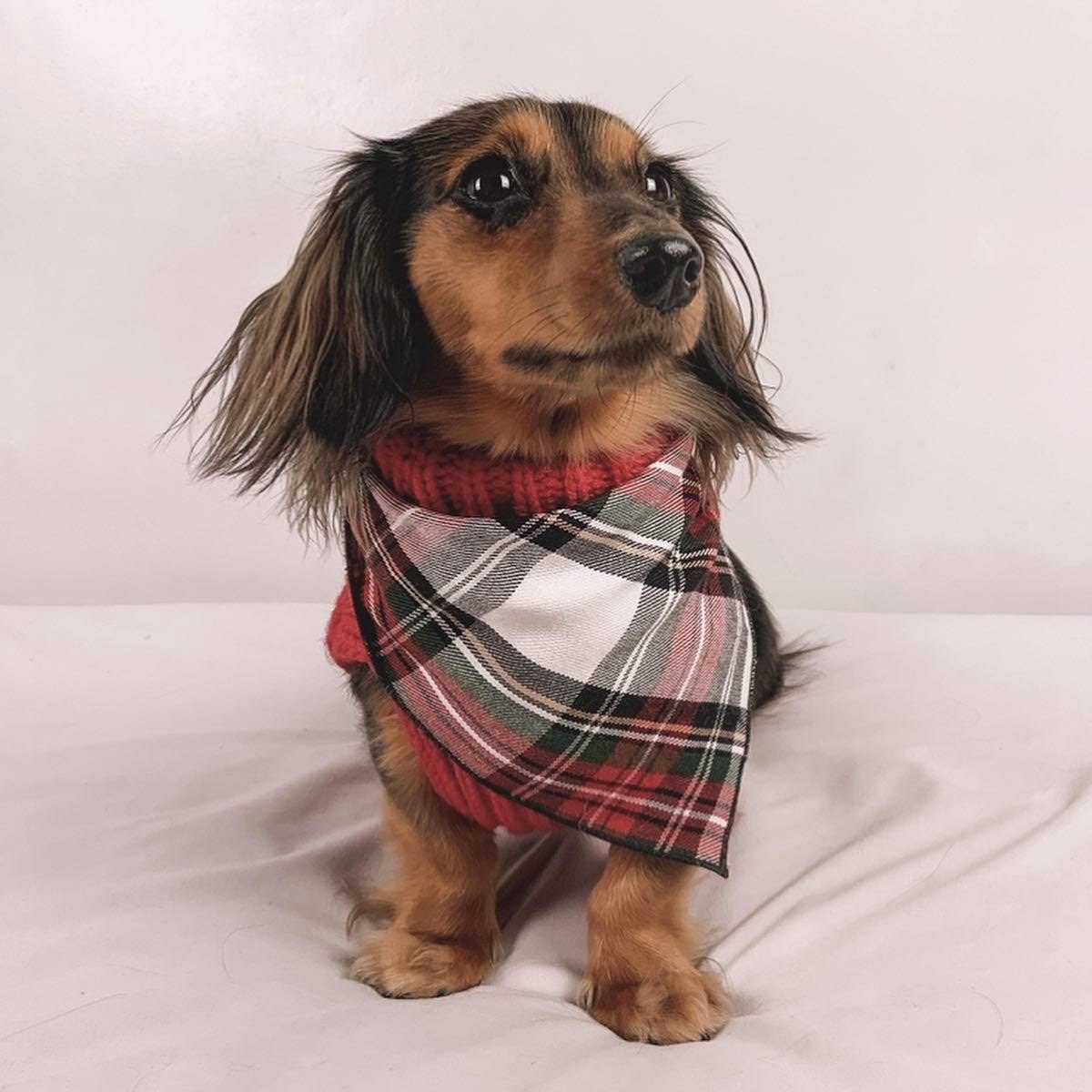 Alfies Red & White Tartan Plaid Puppy Dog Bandana - Handmade