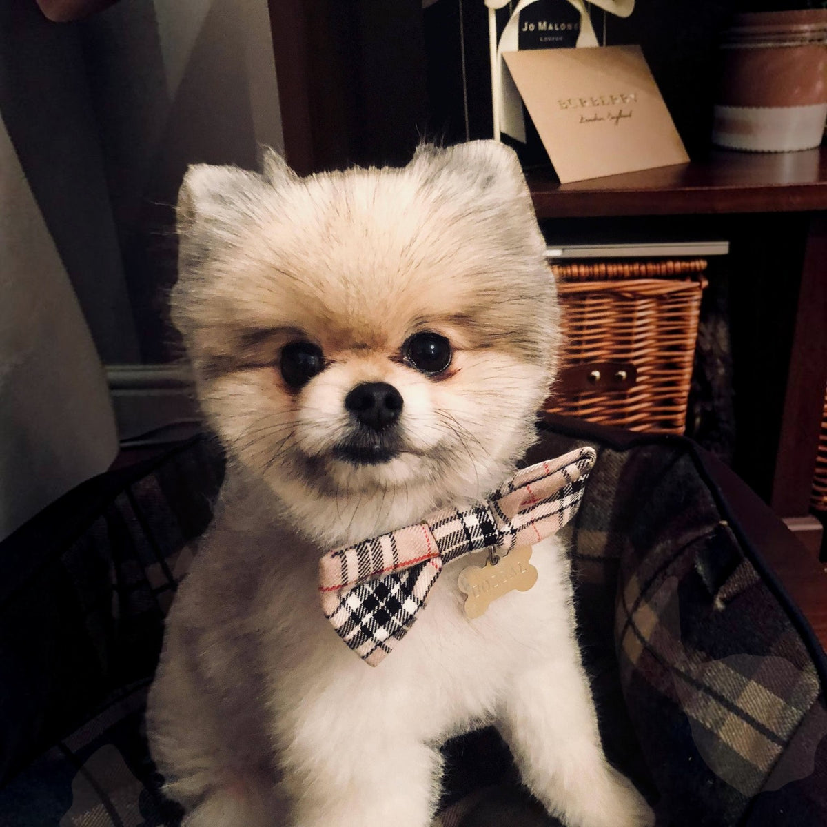 Classic Beige Barkberry Plaid Dog Bow Tie  (UK handmade)