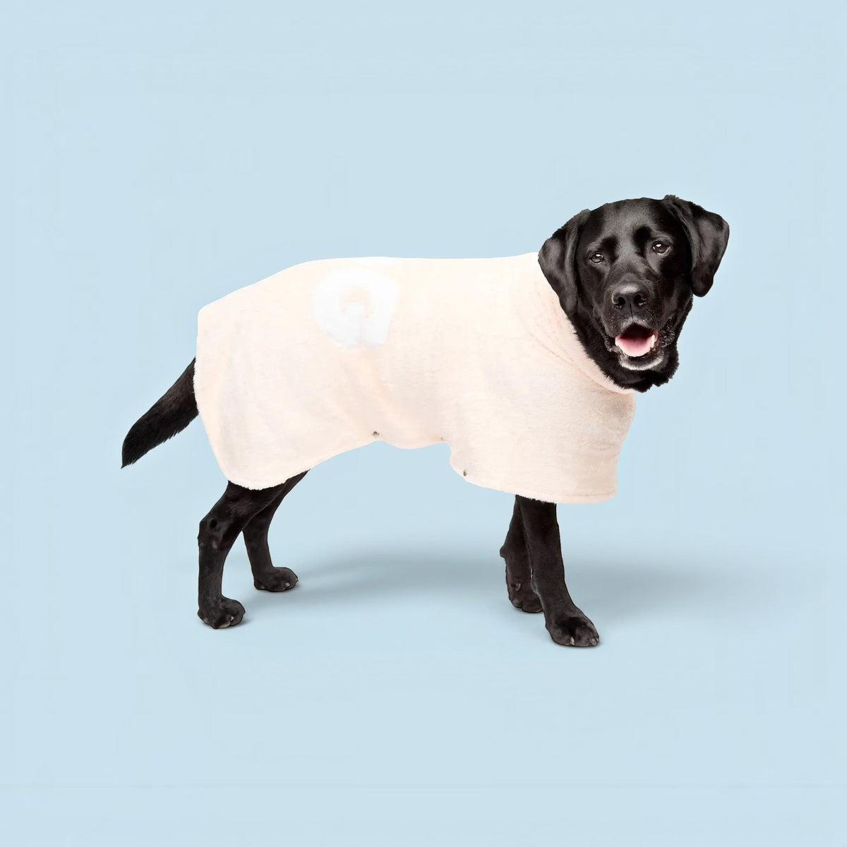 DOG Poncho