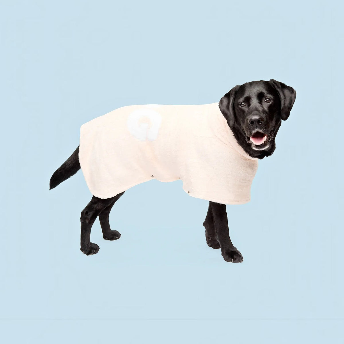 DOG Poncho