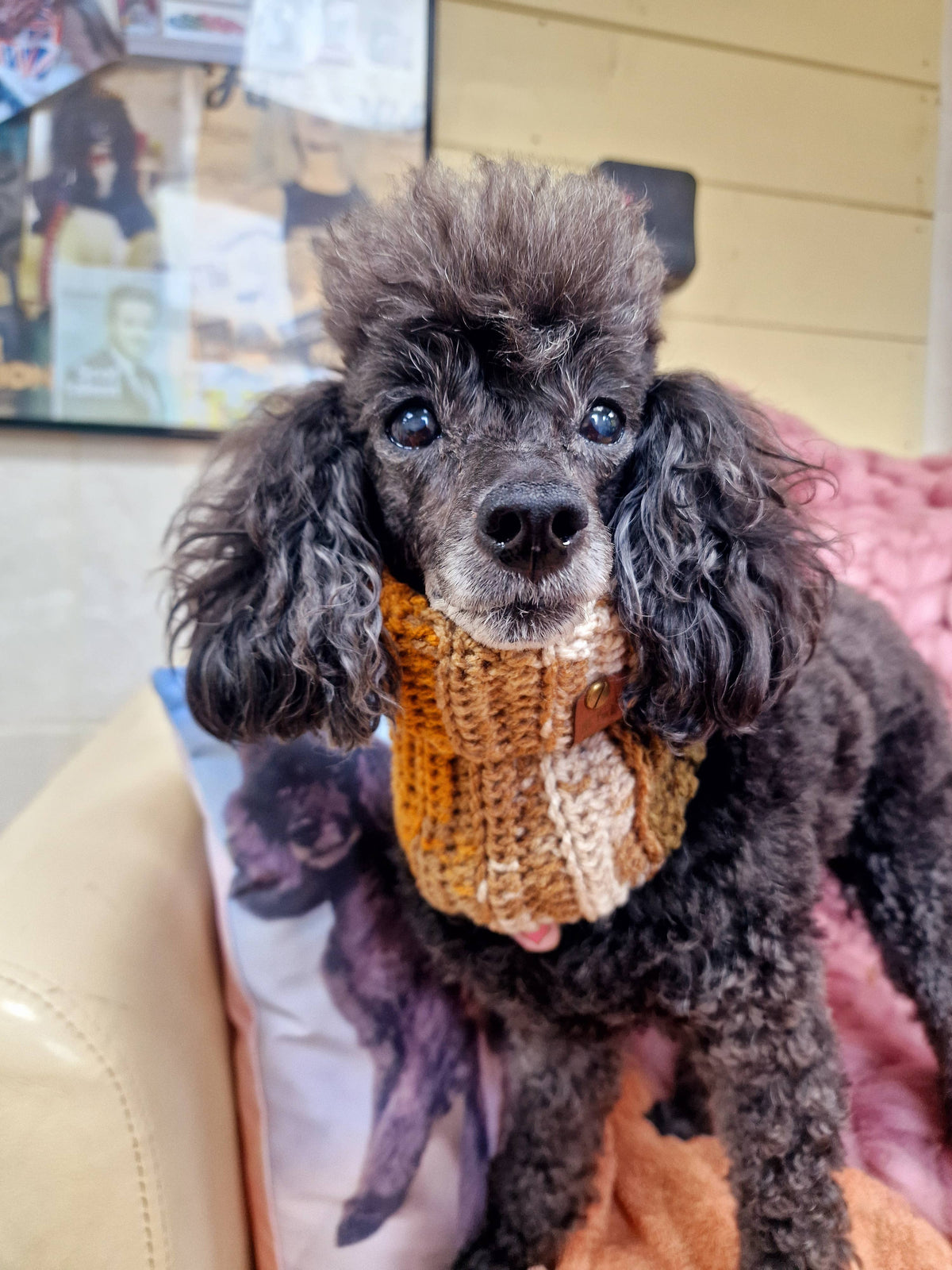 Cosy Cottage Knitted Dog Snood - Roll Top (UK handmade)