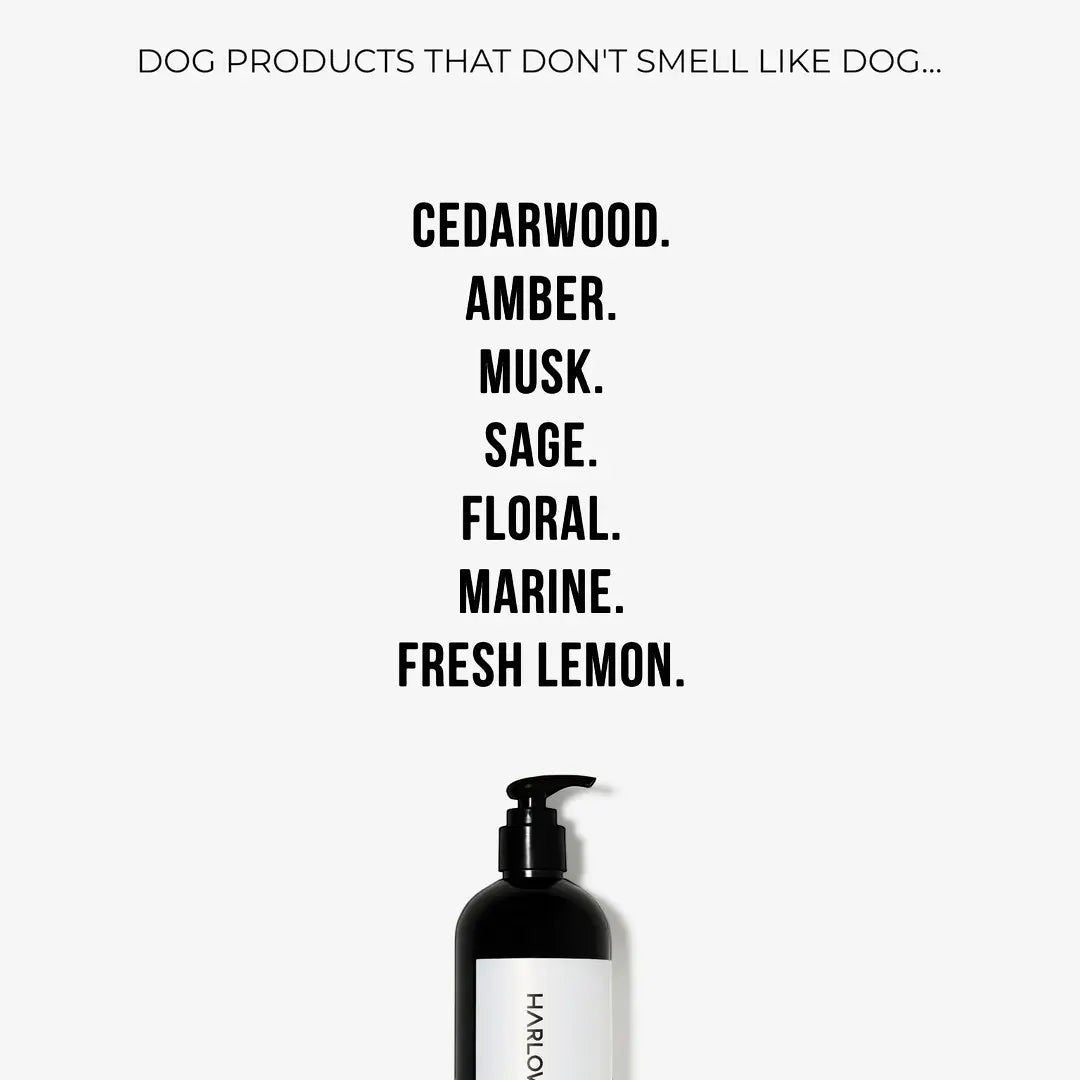 2-in-1 Conditioning Dog Shampoo | Hunter 33