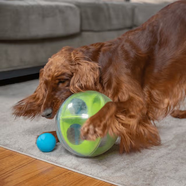 A-Maze Ball - Green