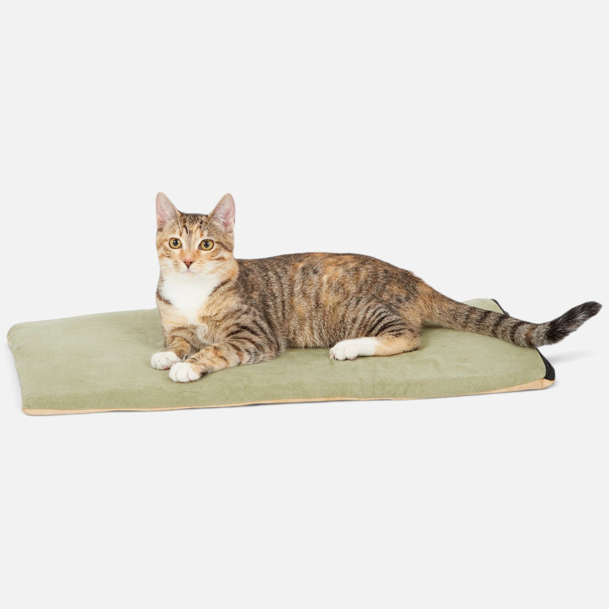 The Dog Emporium sage green heated pet mat with a tabby cat resting comfortably on the plush surface