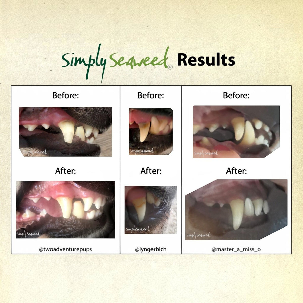 The Dog Emporium Simply Seaweed dental supplement before and after photos showing improved pet teeth cleanliness